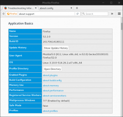 Firefox Troubleshooting Information (about:support)