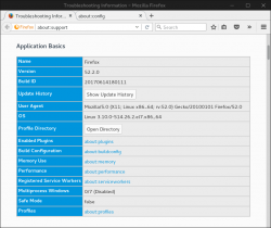 Firefox Troubleshooting Information (about:support)